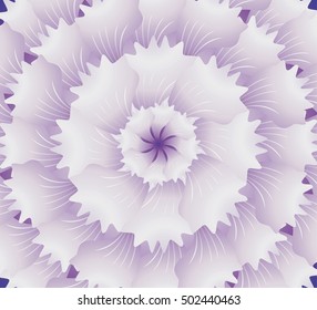 Concentric violet flower texture - Abstract background