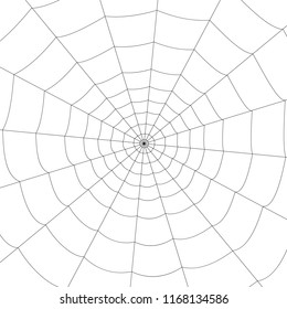 concentric white web on a white background