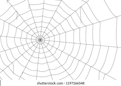 concentric white web on a white background