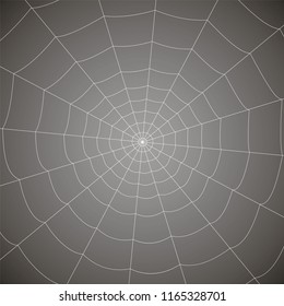 concentric white web on a gray background