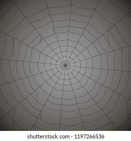 concentric white web on a gray background