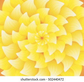 Concentric yellow flower texture - Abstract background