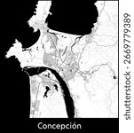 Concepcion city map, Chile - Topographic vector map poster