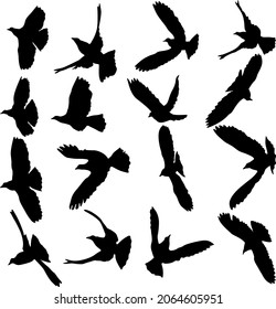 ConcepConcept of love or peace. Set silhouettes doves. t of love or peace. Set silhouettes doves.