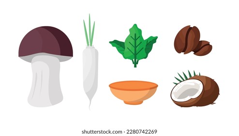 Concept of agricultural resources and natural raw materials, cooking ingredients, terrestrial plants, shiitake mushrooms, radishes, leafy vegetables, coffee beans, coconut milk or roasted coconut.