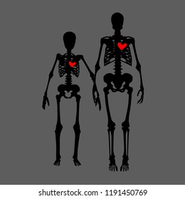 Concept of anatomy of human skeletal system. Family of skeletal