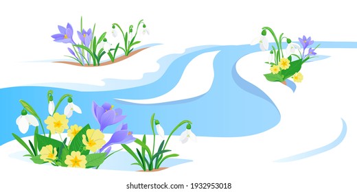The concept of the arrival of spring and the awakening of nature after winter. Melting snow, streams and snowmelt, primroses, crocuses and snowdrops. Vector illustration. Flowers sprout through the sn