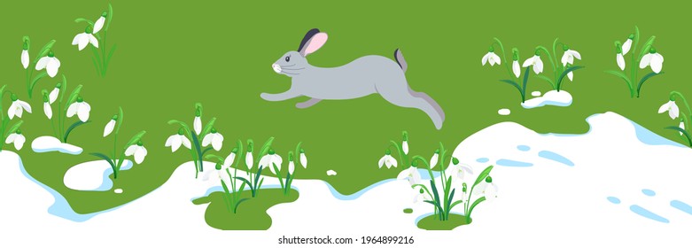 The concept of the arrival of spring and the awakening of nature after winter. Melting snow, snowdrops and a hare running on the green grass. Vector illustration. Flowers sprout through the snow.