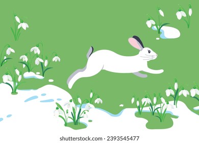 The concept of the arrival of spring and the awakening of nature after winter. Melting snow, snowdrops and a hare running on the green grass. Vector illustration. Flowers sprout through the snow.