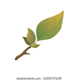 Concept Autumn forest branch plant leaf. This cartoon-style autumn leaf illustration is characterized by a flat design with bright and bold colors. Vector illustration.