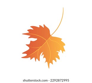Concept Autumn forest leaf. This illustration is a flat, vector image with a cartoon design featuring an orange leaf, perfect for autumn. Vector illustration.