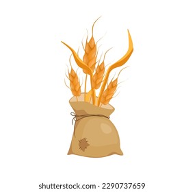 Concept Autumn wheat corn. This illustration features a flat design of an autumn wheat. The image is created in a minimalist style, emphasizing the features of the wheat corn. Vector illustration.