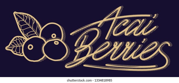 Concept berries acai vector line. hand drawing, funny doodles on a dark background with lettering.