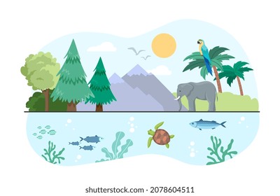 Concept of biodiversity. On one side there forest, taiga. And on other tropics, elephant. Climate change, landscape. Nature, foliage, fresh air, outdoor, fauna. Cartoon flat vector illustration