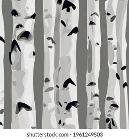 The concept of a birch tree. A grove of trees, a birch, on a gray background. for wallpaper, website background, 