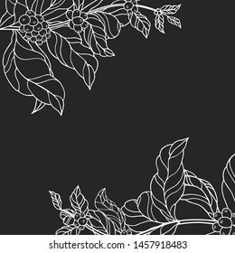 Concept border with vintage coffee branches with leaves and beans. Cocoa background frame for shop or house. Vector isolated illustration.