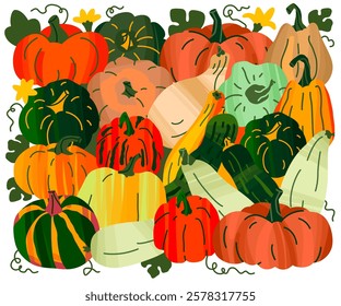 Concept of bright pumpkins and zucchini. Autumn harvest. Vector illustration