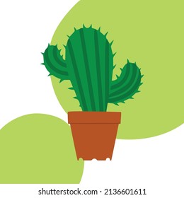 Concept of cactus on colored background. Vector illustration. Cactus isolated on white background with green circles. Design element for website brochure poster menu.
