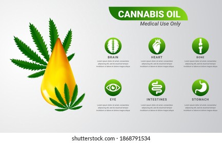 concept of cannabis for medical uses infographic