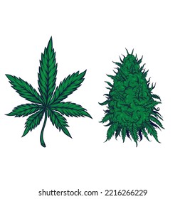 concept of cannabis vector illustration