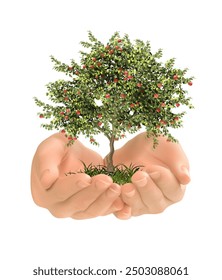 The concept of caring for nature. Vector illustration