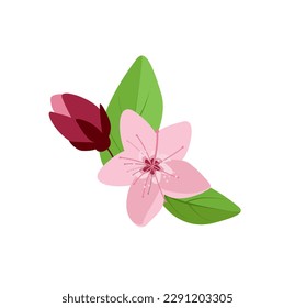 Concepto Flores de cerezo. El concepto detrás de esta ilustración floral de la flor del cerezo es uno de belleza natural y la transitoriedad de la vida. Ilustración vectorial.