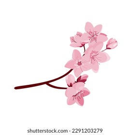 Concept Cherry blossom flowers. The flat style of this cherry blossom flower illustration is reminiscent of Japanese art, paying homage to cultural significance of the flower. Vector illustration.