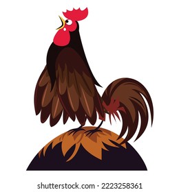 concepto de vector de pollo e ilustración artística