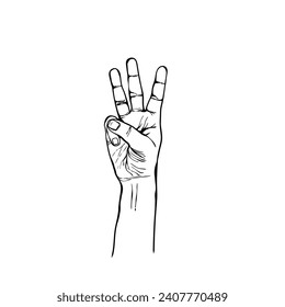 Concept of counting and enumeration. Hand showing one finger, two fingers, three fingers, number two, peace or v-sign isolated on white background