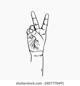 Concept of counting and enumeration. Hand showing one finger, two fingers, three fingers, number two, peace or v-sign isolated on white background