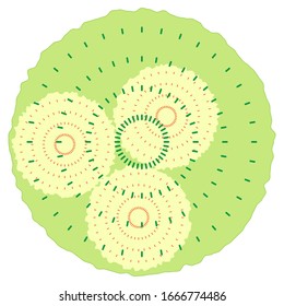 Concept COVID-19 virus structure. You can use for virus information poster. EPS.file