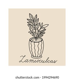  Concept of cozy home and comfort. Hand drawn illustration of plant zamioculcas for posters, cards, t-shirts. Vector illustration