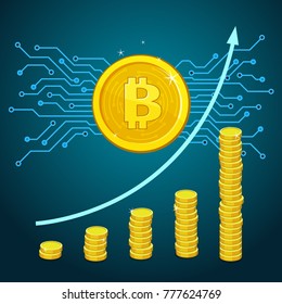 Concept of Crypto-currency. Bitcoin financial system grows. Crypto currency hype vector illustration.