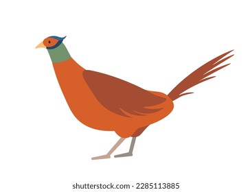 Concept Cute animals bird pheasant. A flat cartoon illustration depicts a cute pheasant bird in a vibrant and lively scene. Vector illustration. svg