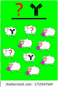 concept design with sheeps on the green background, antibody question mark, herd