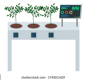 Konzept der digitalen Tabelle für den Anbau von Pflanzen. Growbox-Steuerung mit Computer, zeigen das Status der Bodenfeuchtigkeit, Temperatur, Daten, Grafik. Ökologische moderne Technologie. Bäume mit automatischem Tisch wachsen