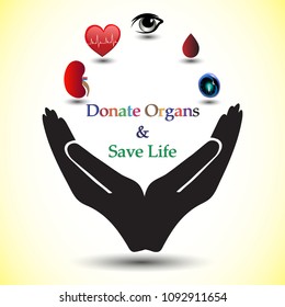 Concept Of Donating Organs To A Living Recipient, Concept Of Spreading Awareness About Organ Donation. Concept Of A Simple Pledge To Donate  Kidney, Heart, Eyes, Blood & Stem Cells.