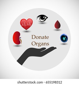 Concept Of Donating Organs To A Living Recipient, Concept Of Spreading Awareness About Organ Donation. Concept Of A Simple Pledge To Donate  Kidney, Heart, Eyes, Blood & Stem Cells.