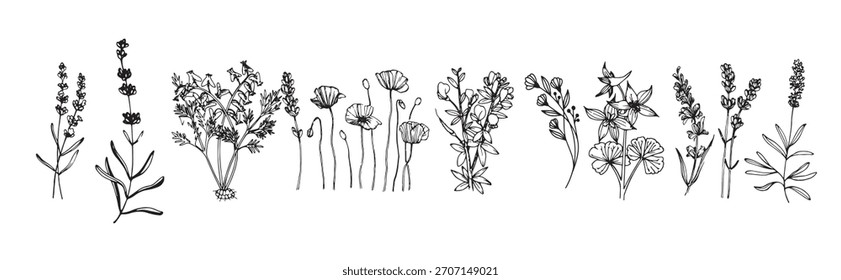 concept drawing set vector sketch line drawing flowers