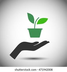 concept of eco friendly, go green, save trees, environment friendly, holding a plant in hands