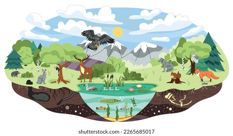 Concept of ecosystem. Biodiversity and different forest habitats, carnivore animals. Wild life and environment, biology, flora and fauna. Ecology and nature. Cartoon flat vector illustration - Shutterstock ID 2265685017