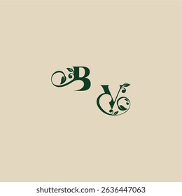 concept of elegant beautifull VB with monogram and leaf letter wedding organic logo