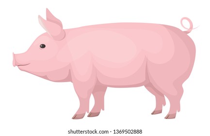 Concept of farm animals. Cute, funny, pink domestic pig, medium size. Family of non-ruminant wild boar subspecies. Cartoon vector illustration isolated.