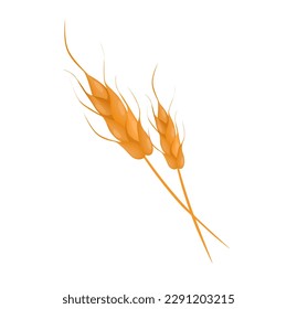 Concept Farm village field garden grain wheat. The illustration depicts a flat, vector design of a cartoon wheat field in a farm garden. Vector illustration.