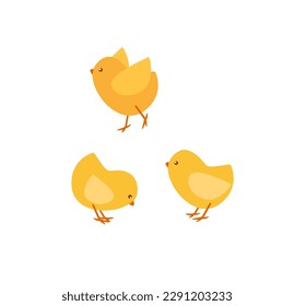 Concept Farm village field garden chicken. This illustration is a flat vector design of a cartoon yellow chickens in a farm or garden setting. Vector illustration.