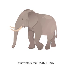 Concept Fauna animal elephant. This is a flat vector illustration featuring a cute cartoon elephant, part of a fauna-themed design. Vector illustration.