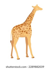 Concept Fauna animal giraffe. This illustration is a flat vector cartoon design featuring a giraffe, an iconic fauna animal, against a white background. Vector illustration.