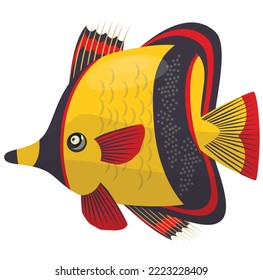 concept of fishes species vector colorful art and illustrations graphics.