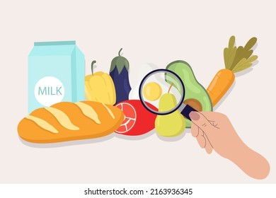 The Concept Of A Flat Vector Illustration Of Healthy Food Safety. A Hand With A Magnifying Glass Studies Food. For Banner, Website, Landing Page Template, Advertisement And Flyer