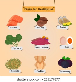 The Concept Of Foods for Healthy Hair with Vocabulary Separated on the Background Illustration,Vector 